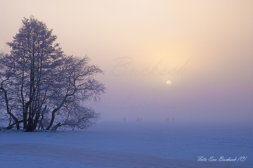 Foto av Eva Bucksch